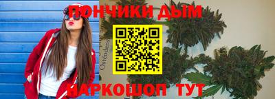 дмт Можга