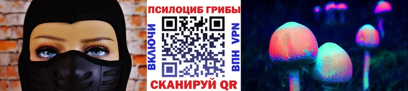 Галлюциногенные грибы GOLDEN TEACHER продажа наркотиков Гусь-Хрустальный