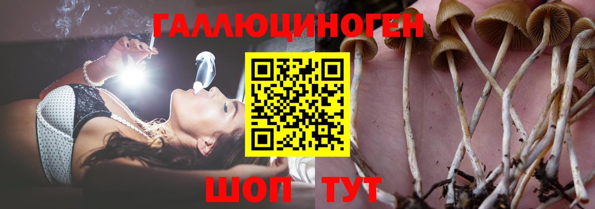 Галлюциногенные грибы Magic Shrooms  Вход с VPN  Гусь-Хрустальный 