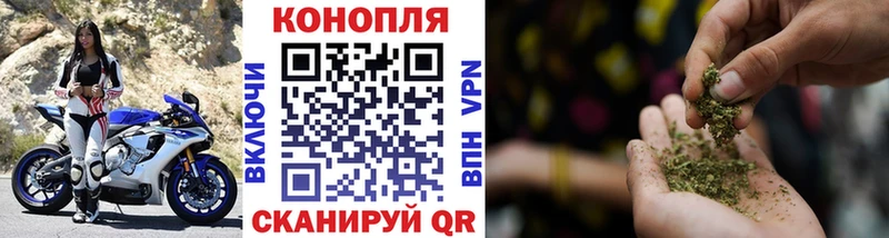МАРИХУАНА сатива  Гусь-Хрустальный 